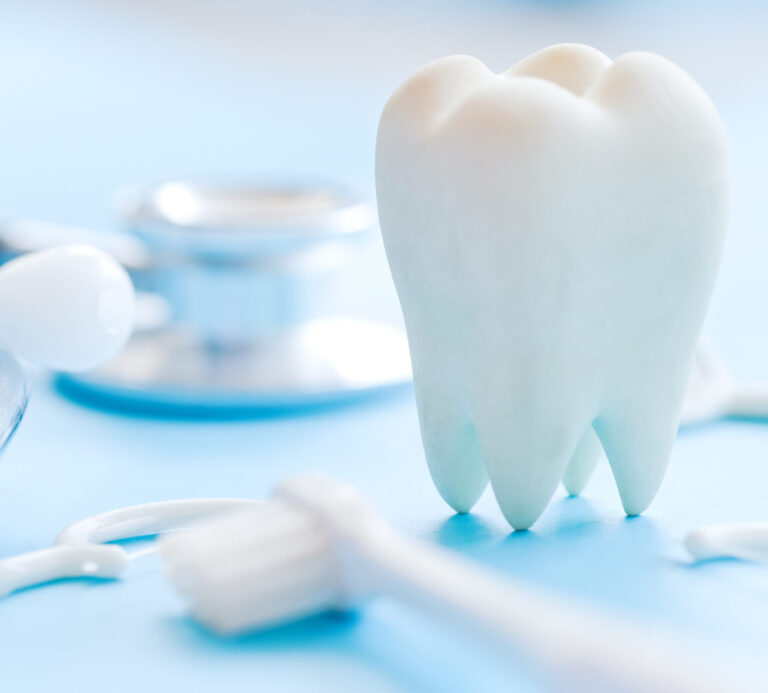 Dental model and dental equipment on blue background.