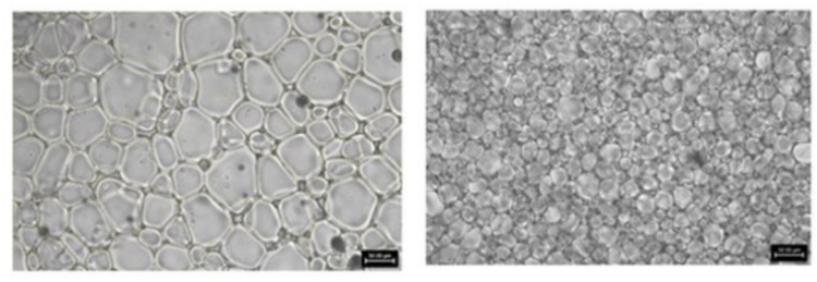 Two images showing Hydrolysate with no ice recrystallization inhibition activity and with increased ice recrystallization inhibition activity.