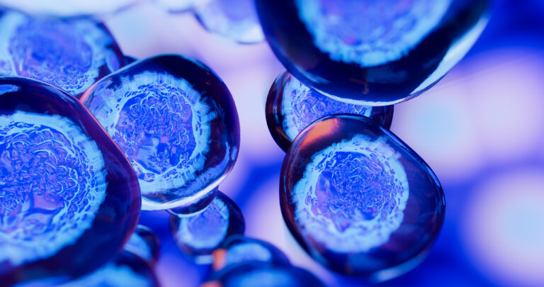 Creative image of embryonic stem cells, cellular therapy.