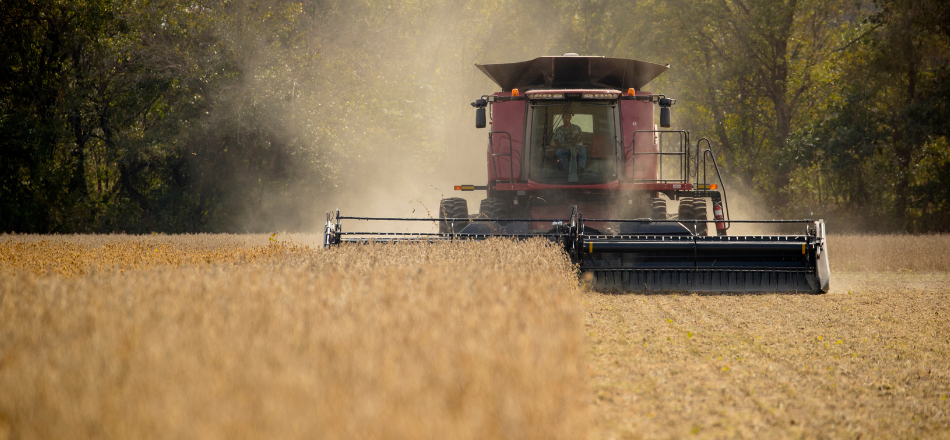 From Plants to Products: Building a Bio-Based Future 