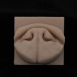 Realistic silicone model of a Brachycephalic animal nose for Ala-vestibuloplasty surgical training.