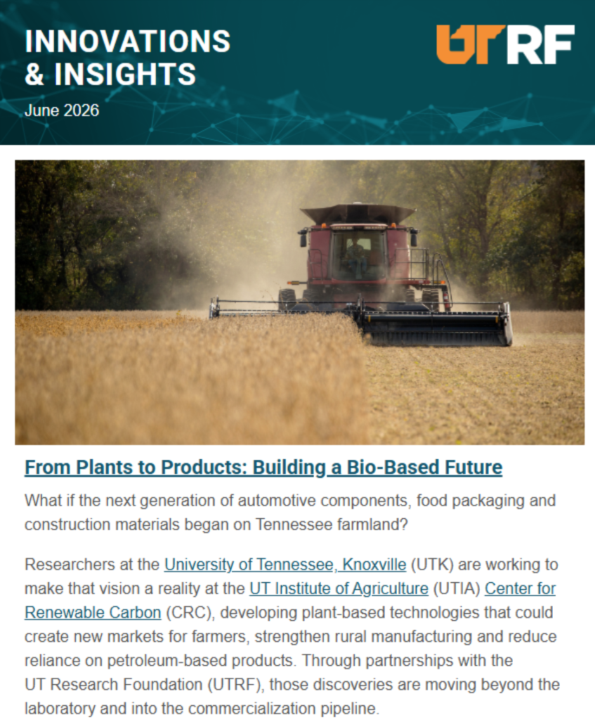 Screenshot of newsletter cover.