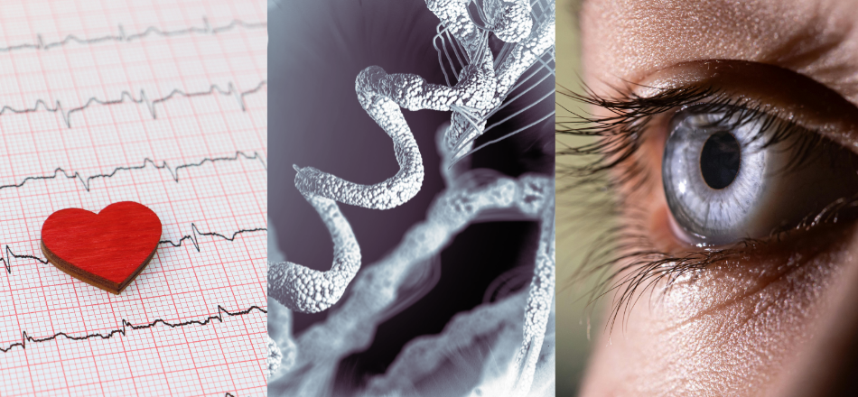 From Lab to Lifesaving Impact: UTRF is Advancing UT’ Health Innovation in Tennessee and Beyond