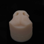 Realistic silicone model of a healthy dog nose for NG tube placement training.