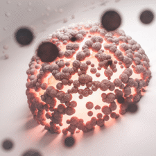 Click Coupling Biomolecules to Substrates with Cyclooctyne N-Heterocyclic Carbenes
