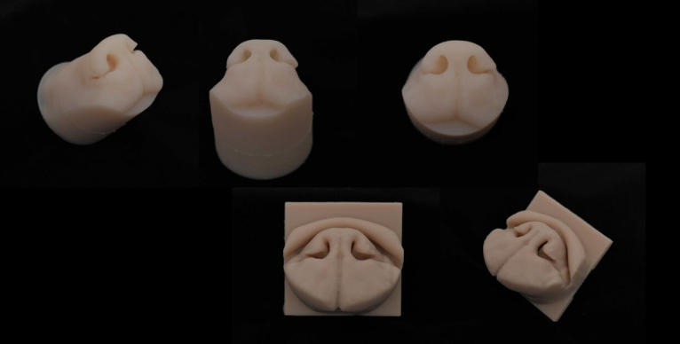 Realistic silicone model of a healthy dog nose for NG tube placement training and a realistic silicone model of a Brachycephalic animal nose for Ala-vestibuloplasty surgical training.