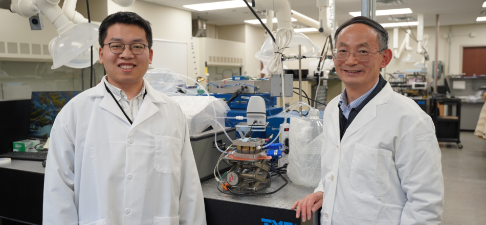 Advancing Hydrogen Generation and Energy Storage Through Next-Generation Electrolyzers 