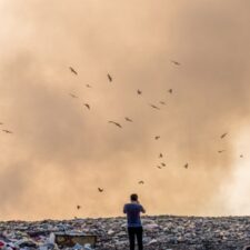 Biodegradable Air Filters